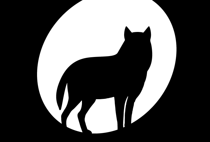 pöff banner introverts